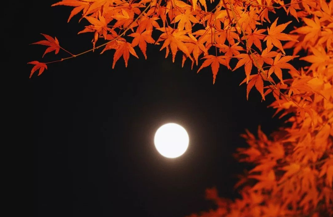 中秋节的古诗有哪些（关于中秋节的古诗名句）