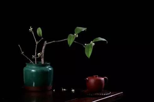 再别康桥原文解析（徐志摩的经典诗赏析）