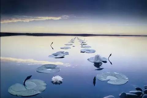 再别康桥原文解析（徐志摩的经典诗赏析）