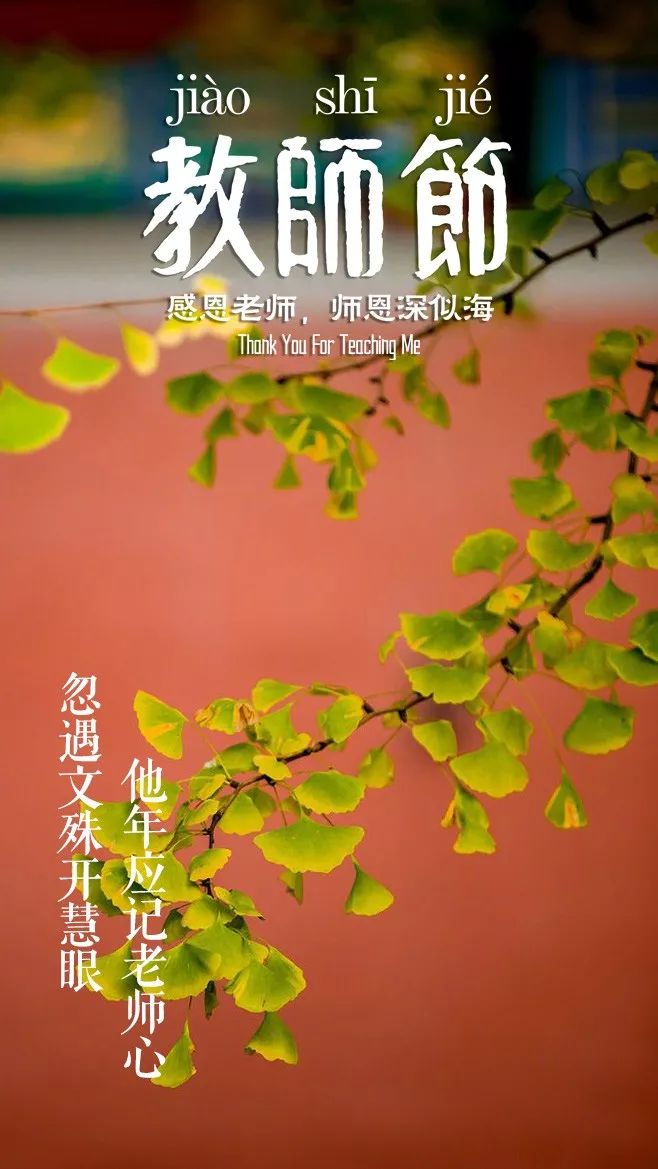 教师节诗句赞美老师（赞美老师的唯美诗句）