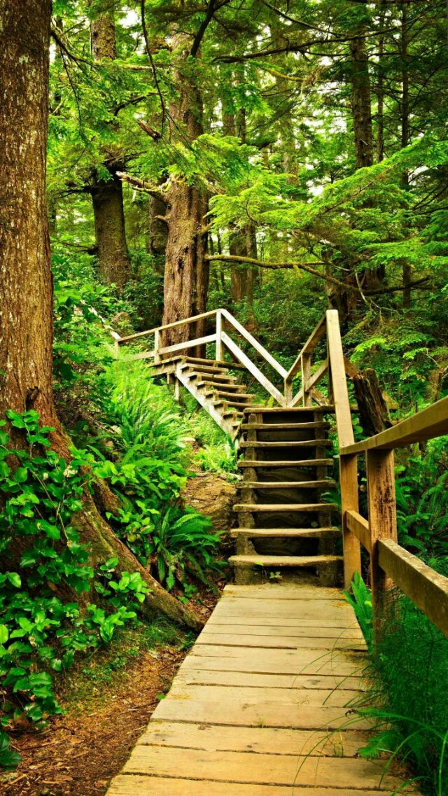 汪国真的经典诗歌（汪国真最经典的诗感谢）