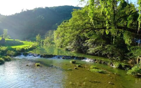 余秋雨散文精选摘抄(余秋雨短篇散文)