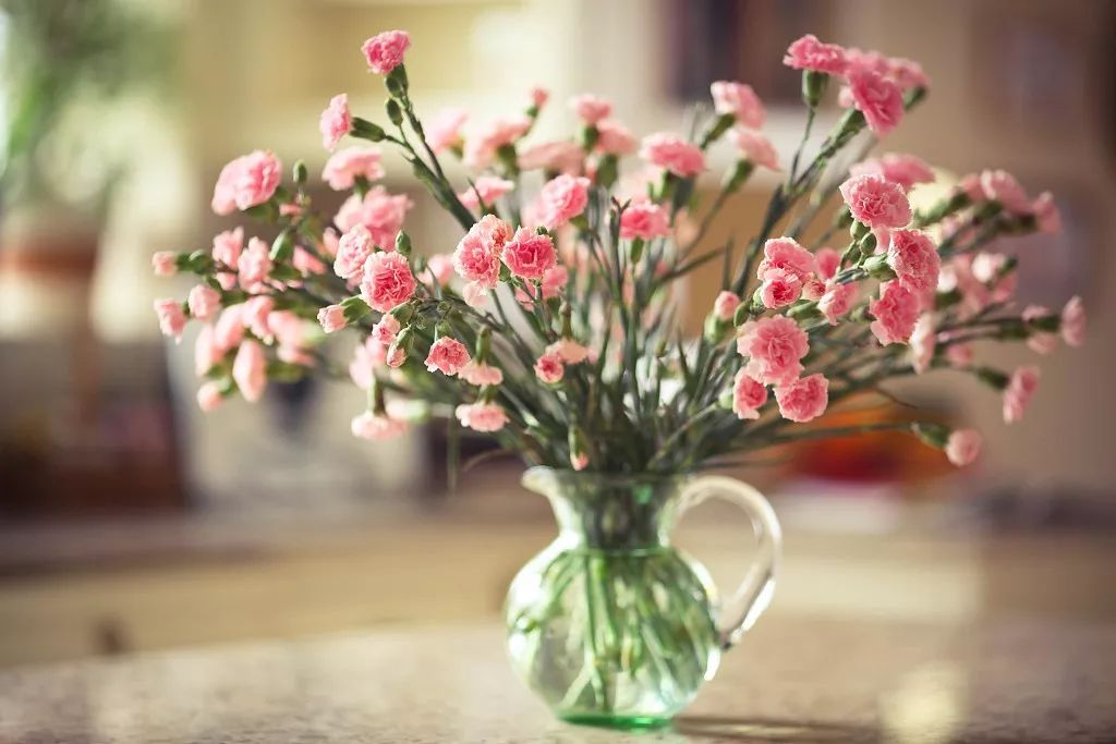 母亲节的诗句唯美句子（关于母亲节的诗词名句）