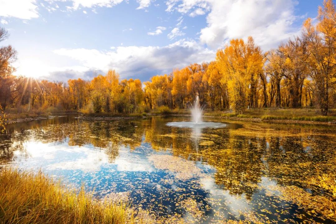 九九重阳节的诗词短句（赞美九九重阳节的诗句）