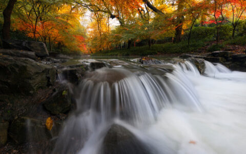 桂枝香金陵怀古赏析（桂枝香金陵怀古原文及鉴赏）