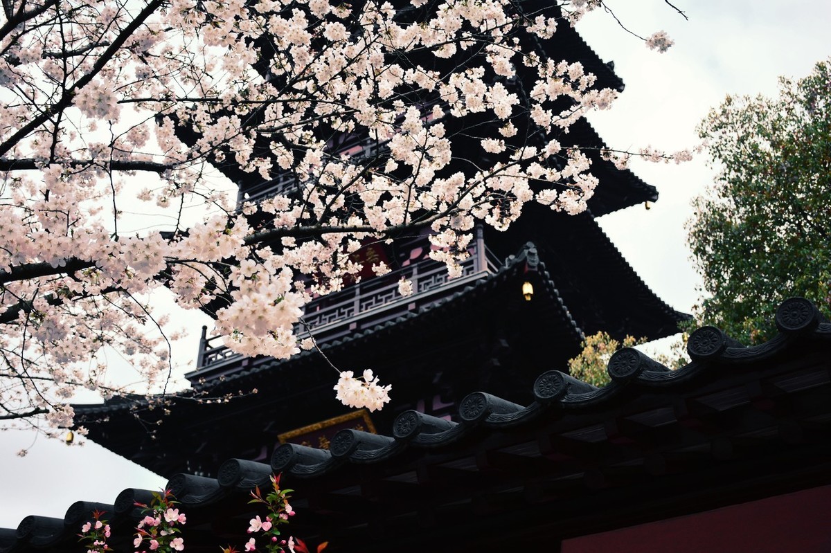 描写祖国大好河山的古诗（赞美祖国壮丽山河的诗）