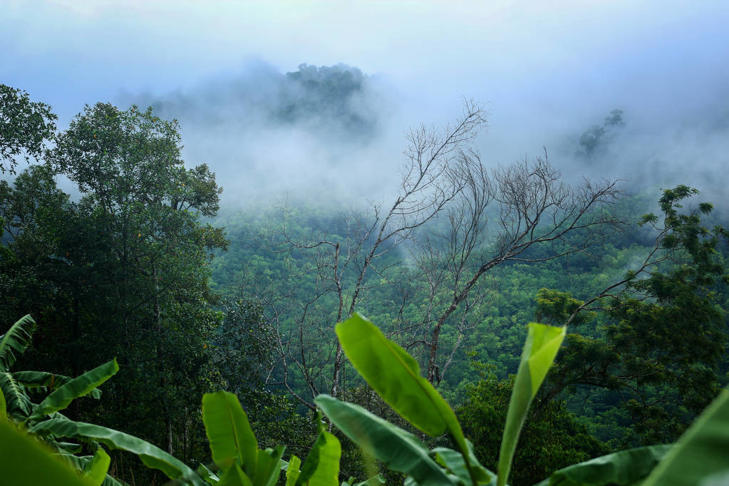 描写祖国大好河山的古诗（赞美祖国壮丽山河的诗）
