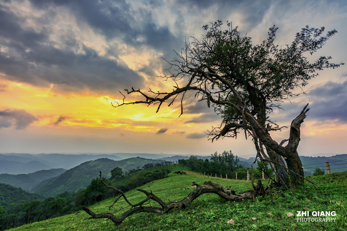 描写祖国大好河山的古诗（赞美祖国壮丽山河的诗）