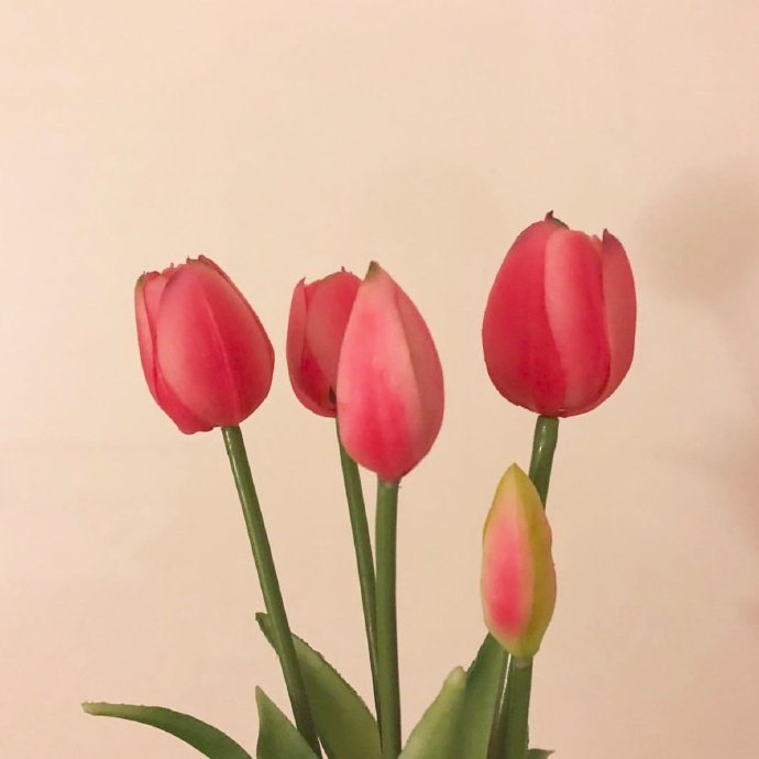 平安夜的祝福语句子（适合平安夜发朋友圈的句子）