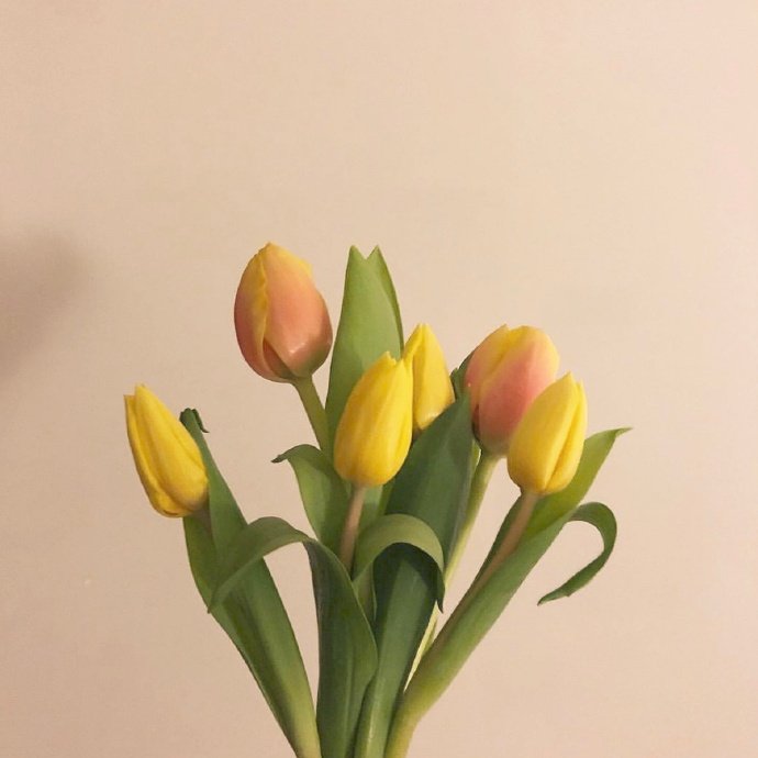 平安夜的祝福语句子（适合平安夜发朋友圈的句子）