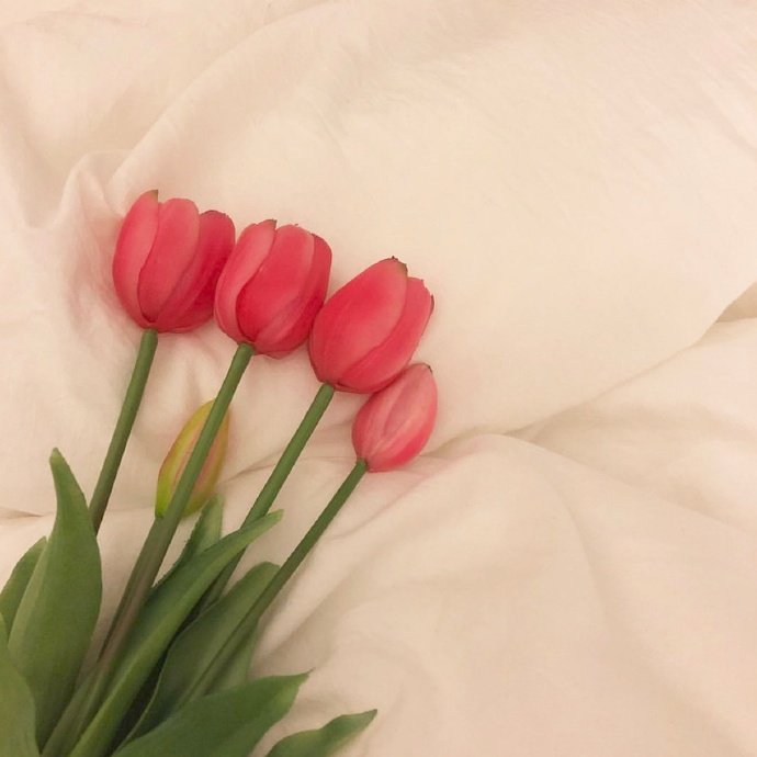 平安夜的祝福语句子（适合平安夜发朋友圈的句子）