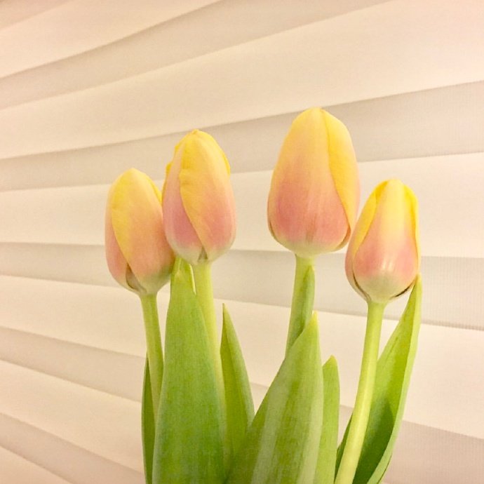 平安夜的祝福语句子（适合平安夜发朋友圈的句子）