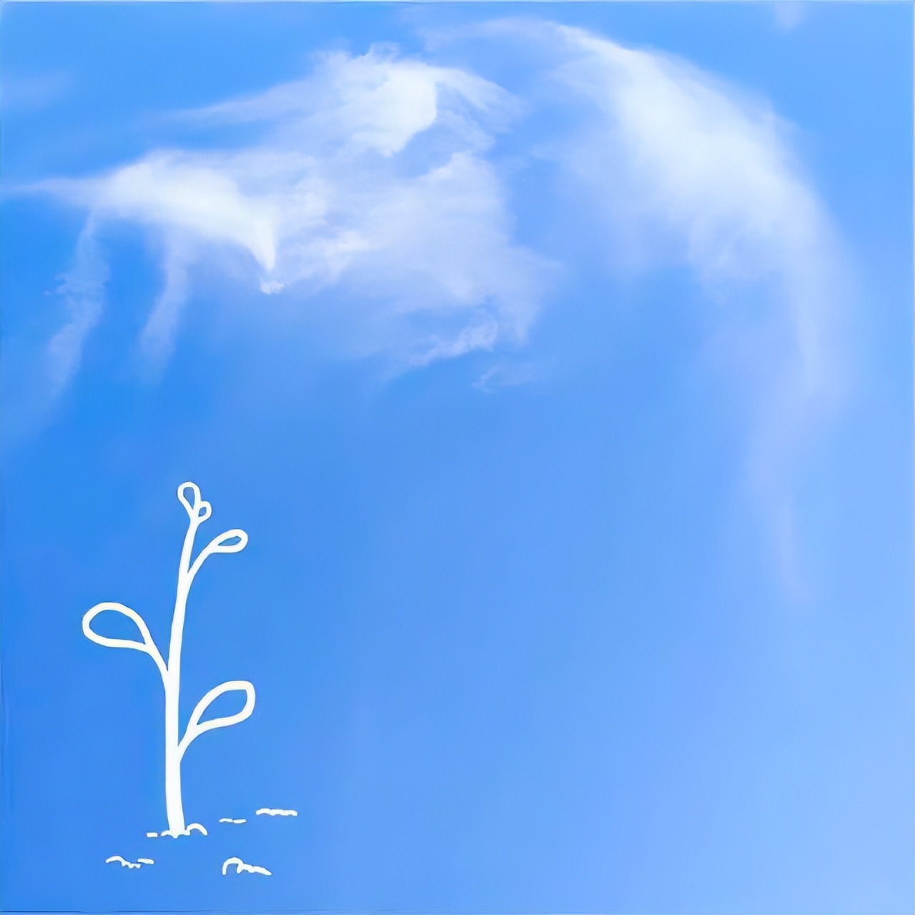 经典句子人生感悟（很走心的干净短句）