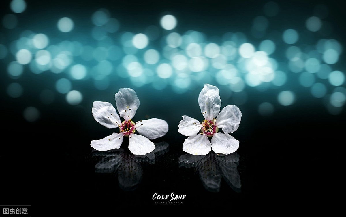 徐志摩情诗的经典语句（徐志摩的爱情诗集）