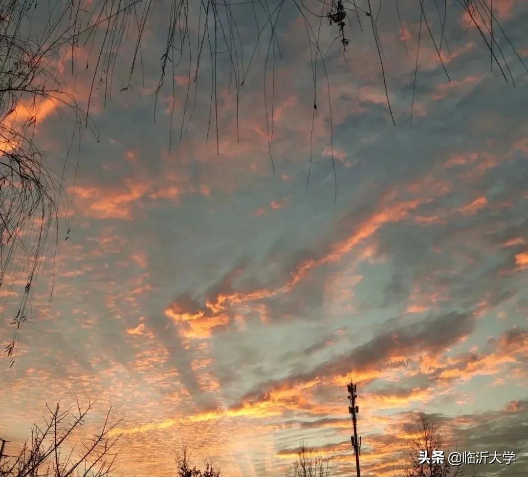 开学加油鼓励的句子（新学期新希望寄语）