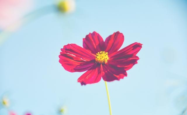 早安语录正能量的句子（早安励志正能量）