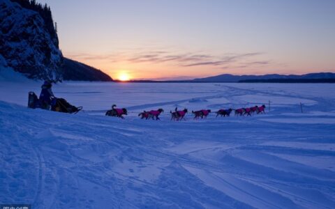 北京爱情故事的台词（北京爱情故事电影名言）