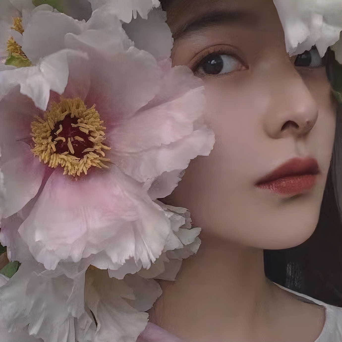 浪漫qq个性签名（qq个性签名爱情浪漫）