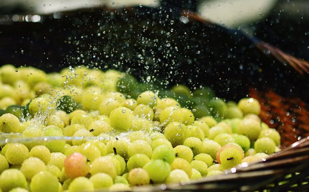 形容初夏的诗句唯美（关于初夏的诗句欣赏）