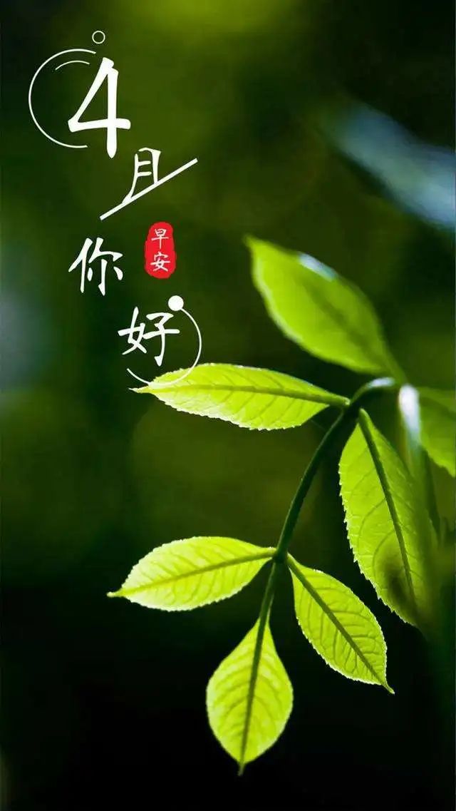 四月你好唯美句子简短（赞美四月的唯美句子）