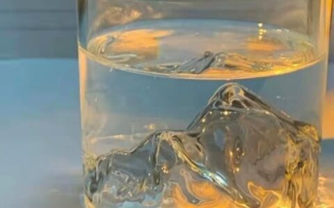 爱情公寓经典语录（爱情公寓中的人生哲理）