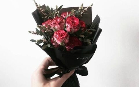 最让人感动的一句话（最容易感动人的句子）