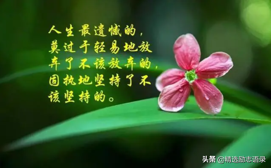 人生感悟的句子（正能量的人生格言）