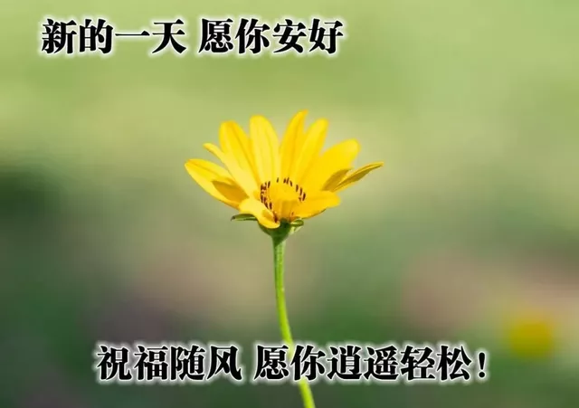 短信祝福语简短（祝福问候语短信大全）