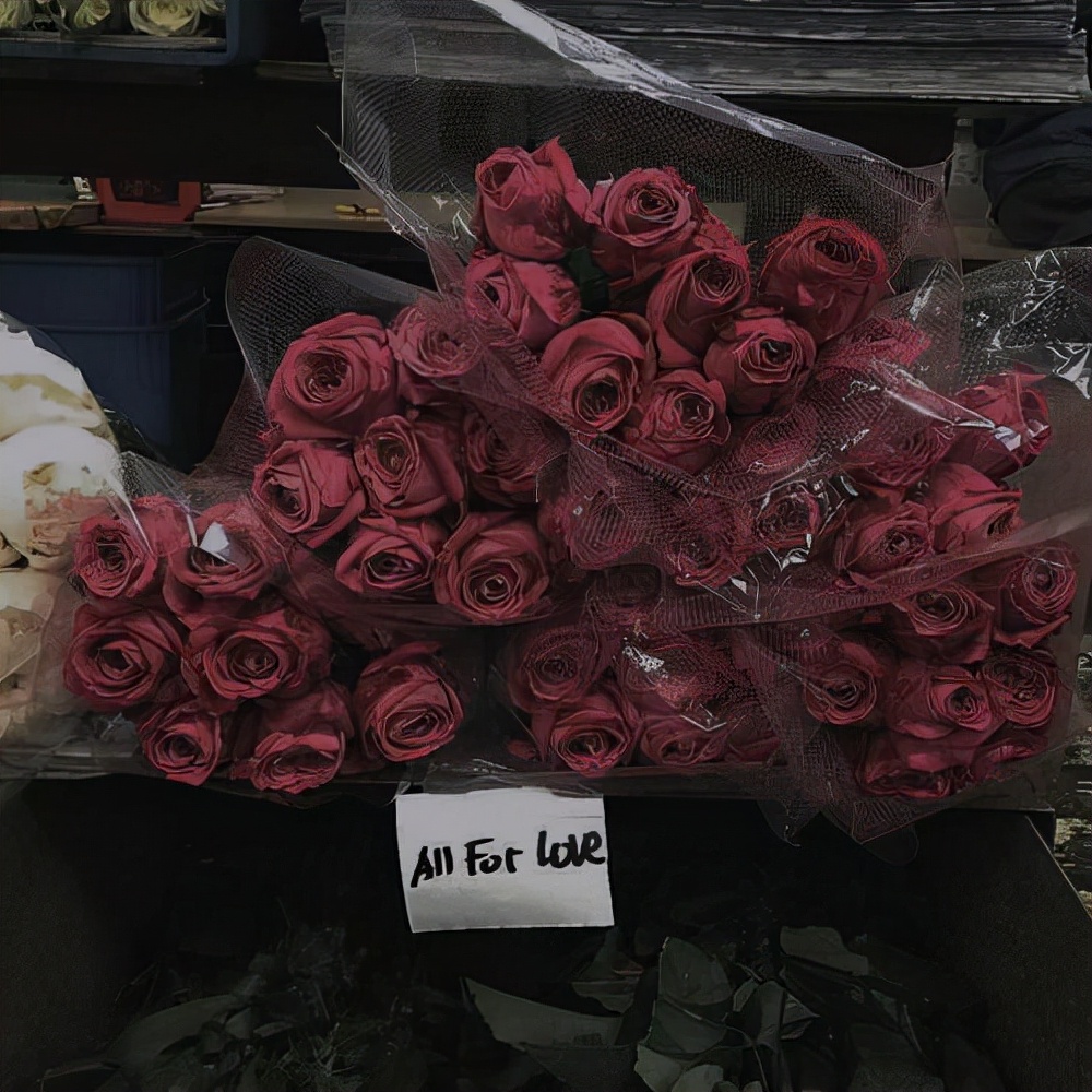 浪漫经典语录简短（一句简短浪漫的情话）