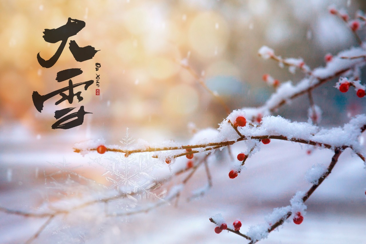 雪的诗句古诗大全（下雪的诗句唯美）