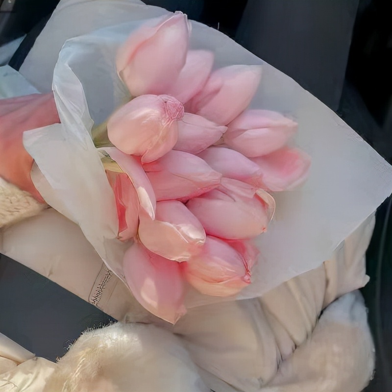 错过一个人遗憾的句子（满是遗憾的心酸句子）