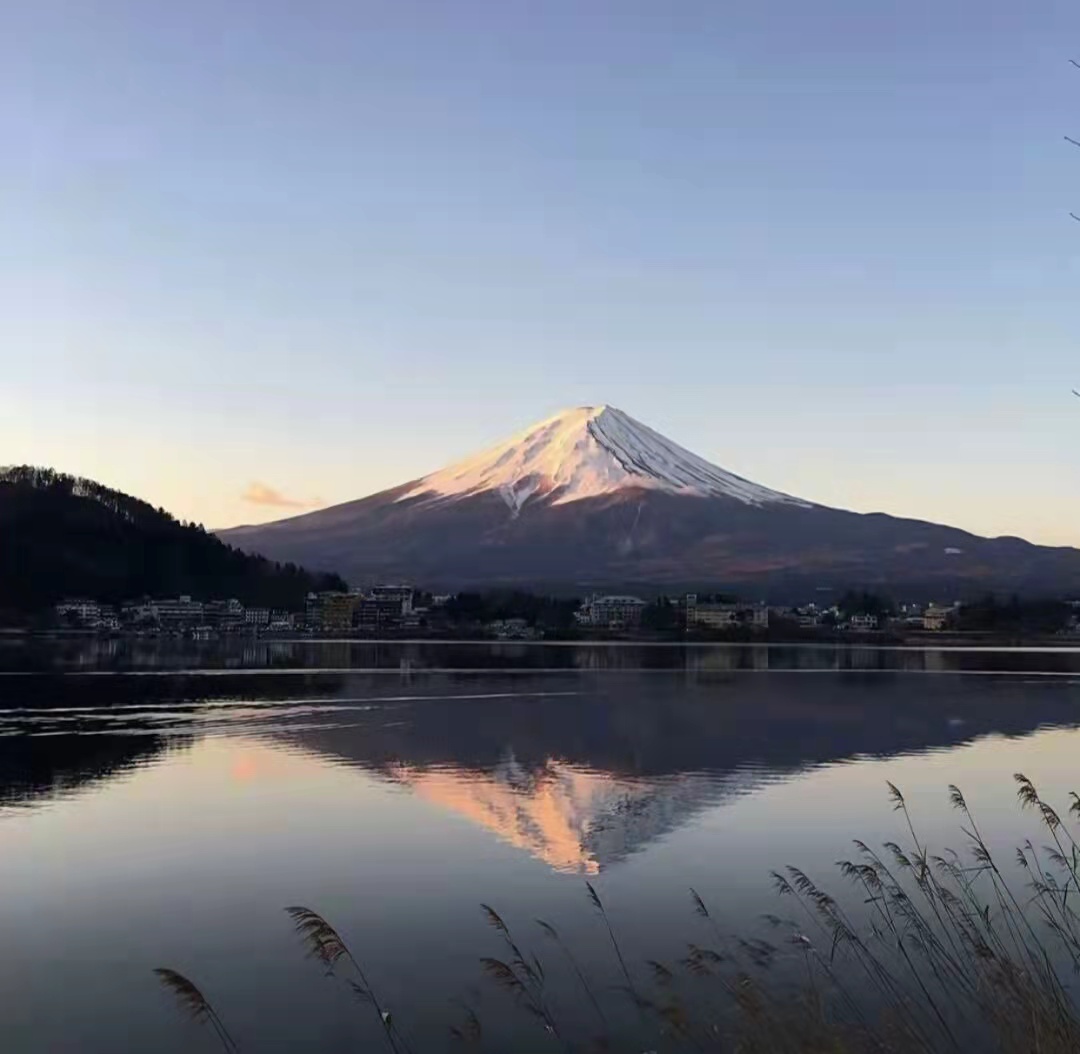错过一个人遗憾的句子（满是遗憾的心酸句子）