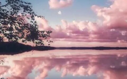 经典语句摘抄大全（优美句子摘抄短句）