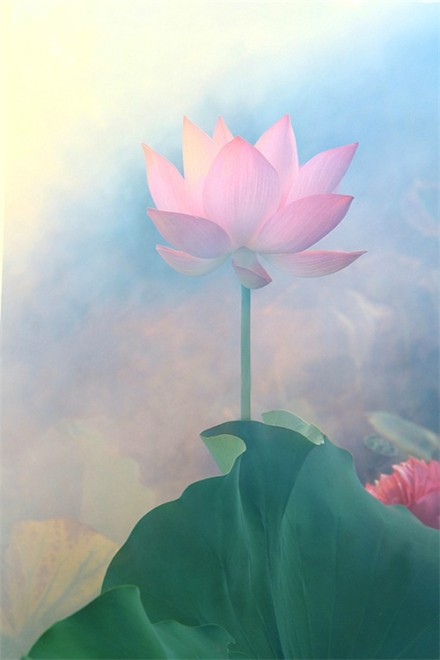 感悟生活的经典句子（最精辟人生短句）