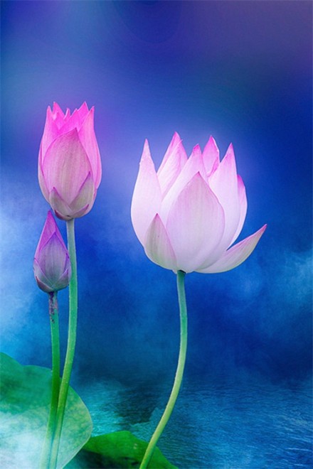 感悟生活的经典句子（最精辟人生短句）