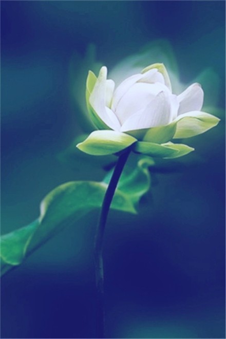 感悟生活的经典句子（最精辟人生短句）