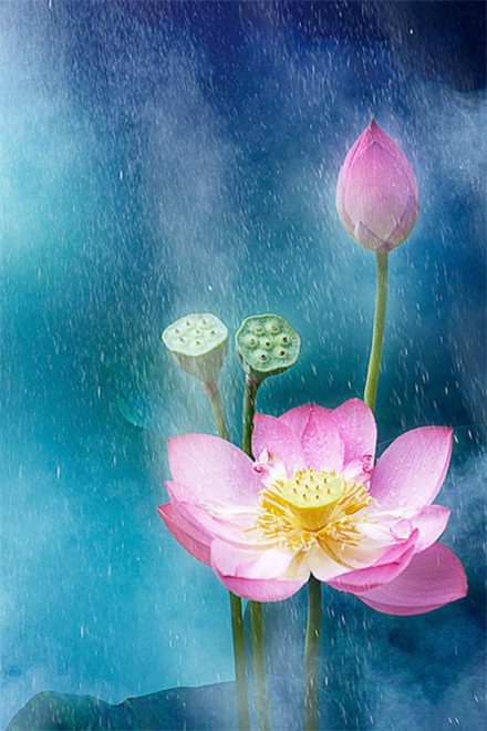 感悟生活的经典句子（最精辟人生短句）