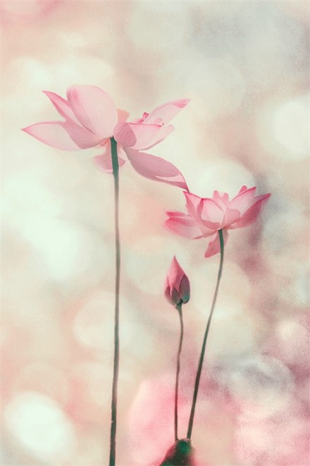 感悟生活的经典句子（最精辟人生短句）