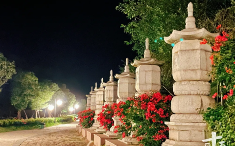 林清玄经典语录句子（林清玄的优美段落摘抄）