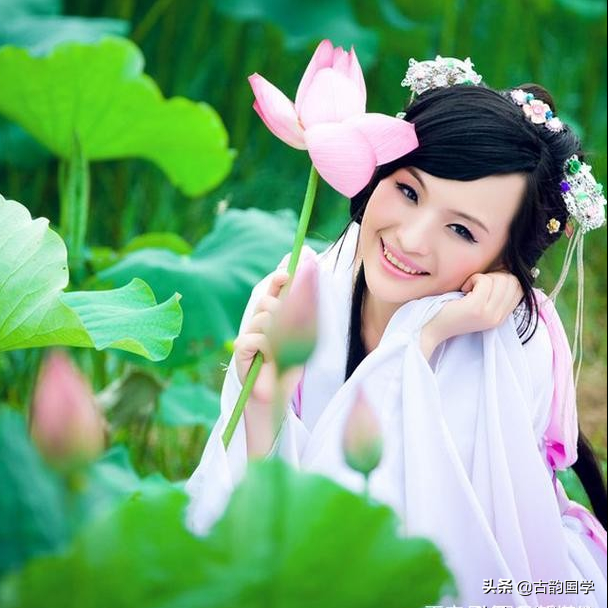 优美诗句摘抄大全（美到窒息的古风句子）
