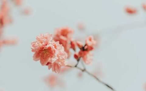 楚辞名句唯美千古绝句（温柔惊艳的古诗词）