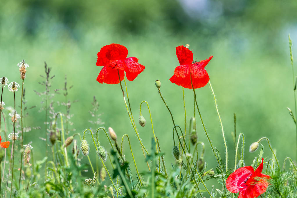 温暖人心的唯美句子(暖心的句子唯美简短)