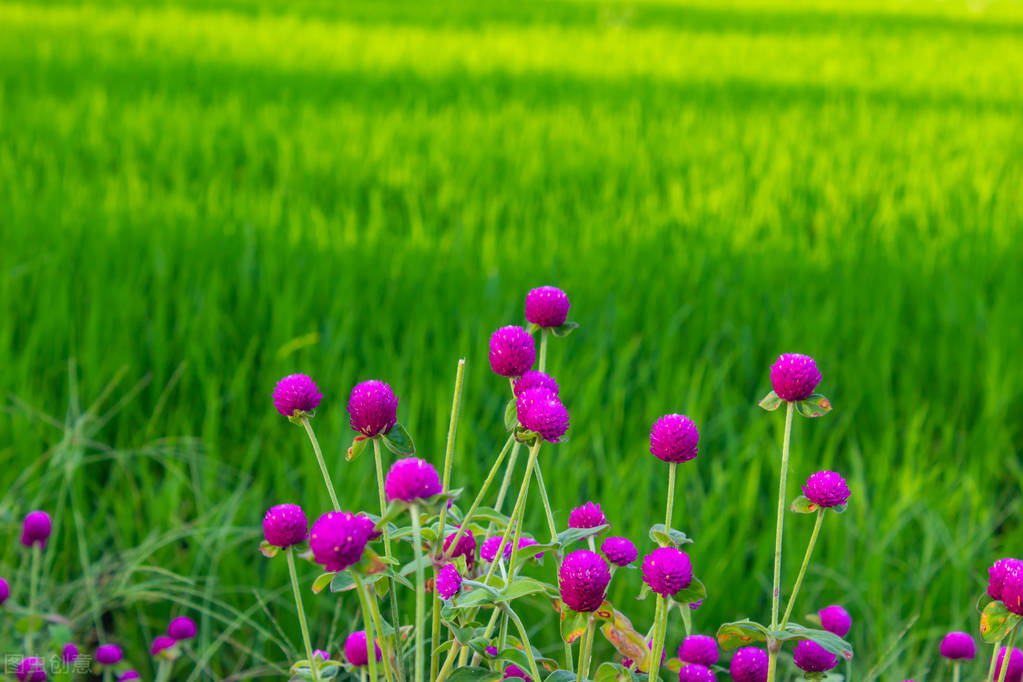 温暖人心的唯美句子(暖心的句子唯美简短)