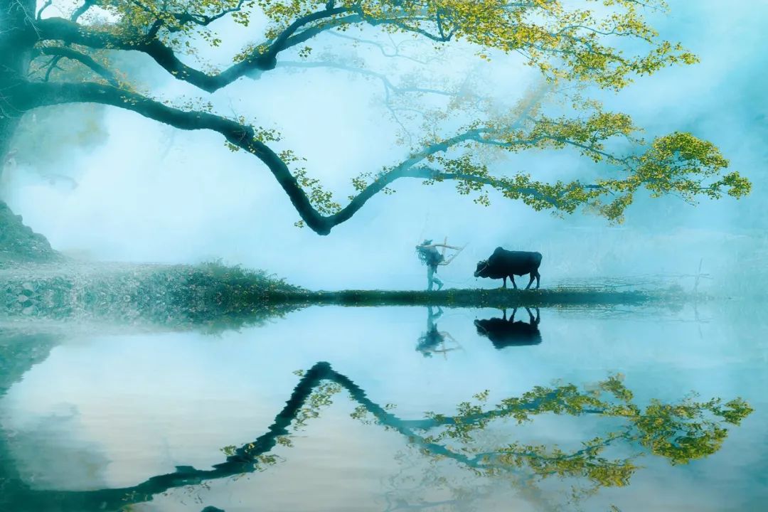 关于山水风光的古诗词（赞美山水风光的诗句）