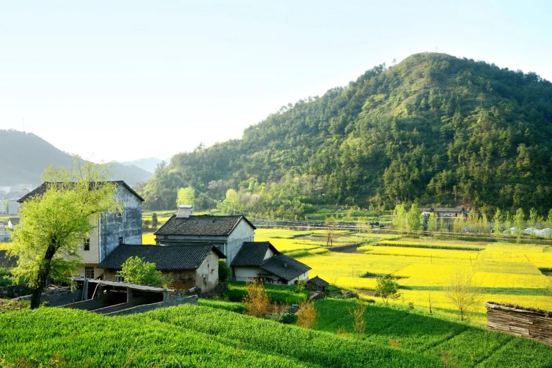 关于山水风光的古诗词（赞美山水风光的诗句）