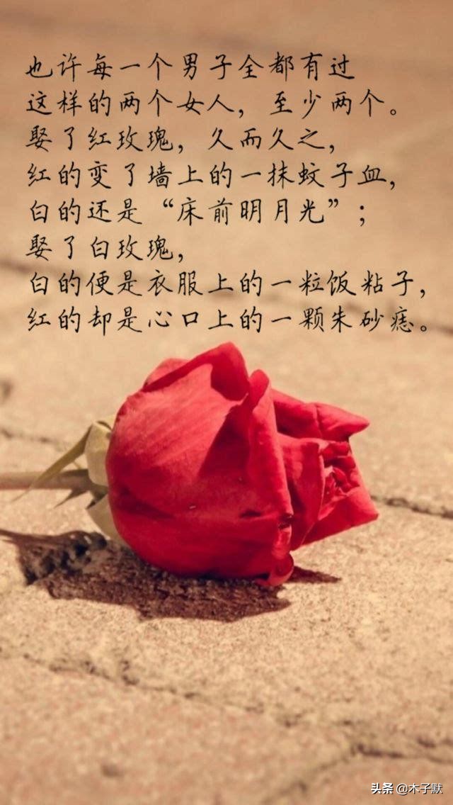 被爱的有恃无恐下一句（被偏爱经典句子大全）