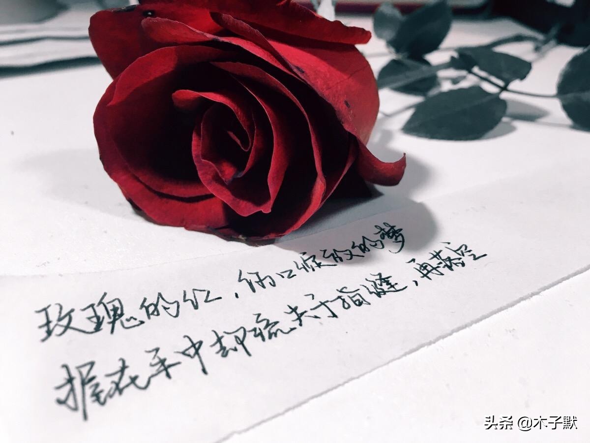 被爱的有恃无恐下一句（被偏爱经典句子大全）