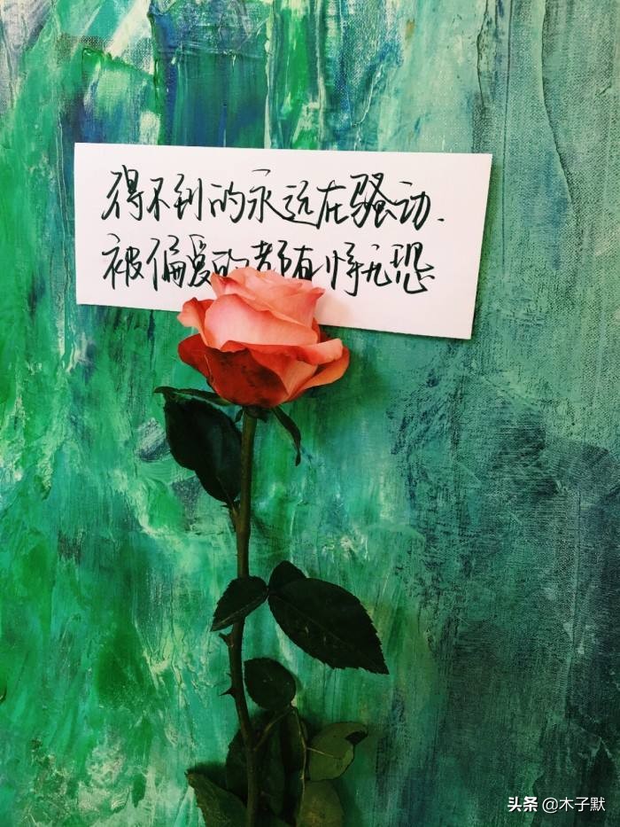 被爱的有恃无恐下一句（被偏爱经典句子大全）