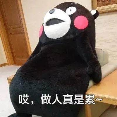 毕业是选择专业对口的还是热门职位