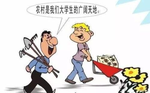 2020年应届毕业生就业独享五大特权